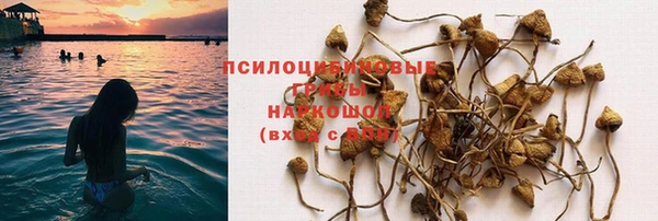 jwh Армянск