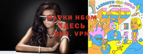гашик Алексеевка
